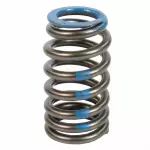 F2GZ6513A - Engine: Valve Springs for Ford: Bronco Sport, Edge, Escape, Explorer, Focus, Fusion, Maverick, Mustang, Ranger | Lincoln: Corsair, MKC, MKZ, Nautilus Image