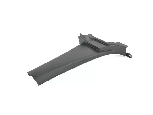 B Pillar Lower Molding, Right - Mopar (5SL41LXHAA)