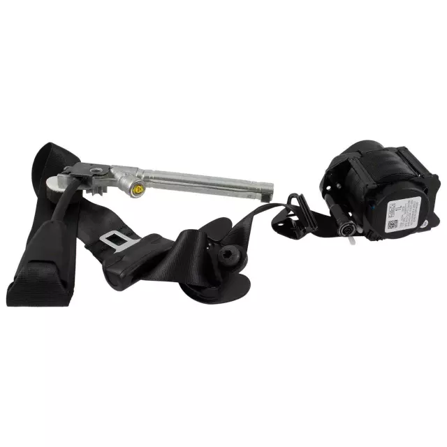 M1PZ78611B09AA - : Seat Belt Assembly for Ford: Bronco Sport Image