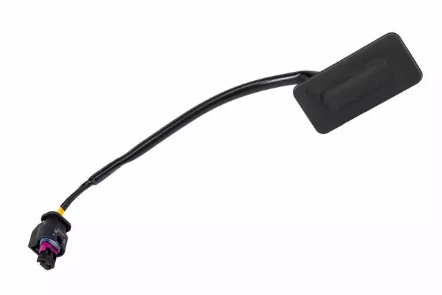 Release Switch - GM (42420557)