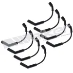 9246012B - : ThunderCore PRO 924-6012B Spark Plug Wire Set for Walker Products Inc. - Image