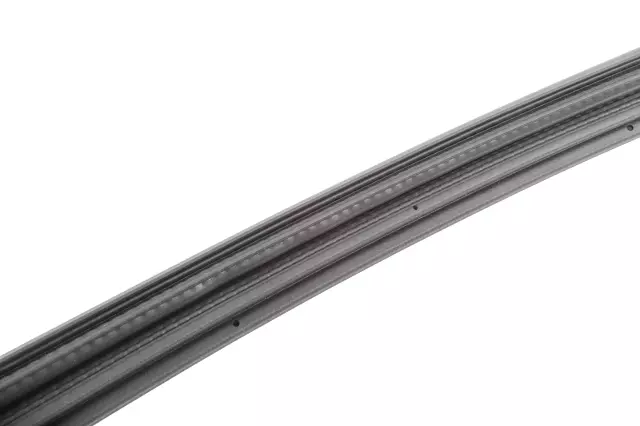 84156127 - : Front Passenger Side Door Weatherstrip for GM Image