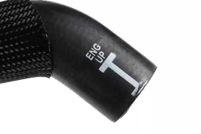 Upper Hose - GM (19258419)