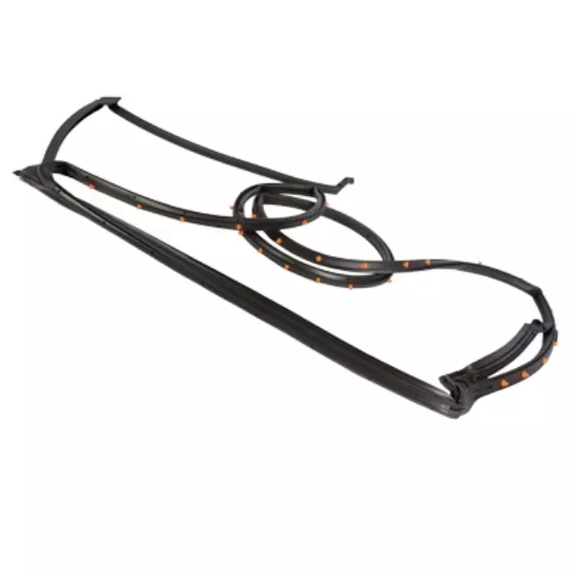 Door Weather-Strip - Ford (AE9Z-7425325-A)