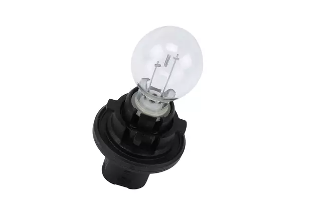15938157 - : Back-Up Light Bulb for GM Image