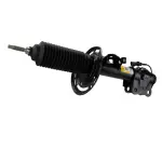 AST86015 - : Strut Suspension for Ford Image