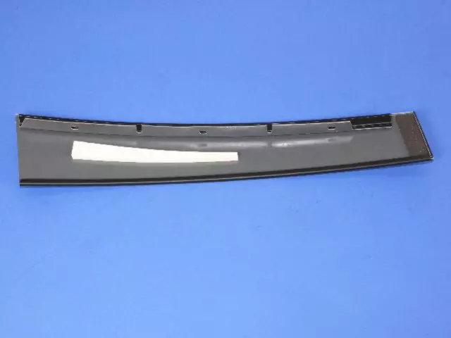 4894436AE - Body: Applique for Chrysler: Pacifica Image