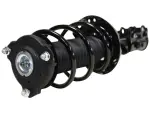 813140 - : 18-20 Hyundai Elantra GT Suspension Strut and Coil Spring Assembly for GSP Image