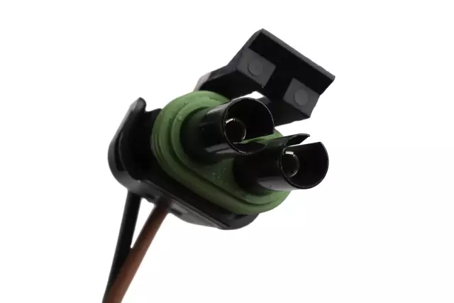 15754298 - Fuel System: Fuel Pump for GM Image