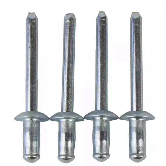 W716601S434 - Body: Bracket Rivet for Ford: E-Transit, Fusion, Police Responder Hybrid, SSV Plug-In Hybrid, Transit-150, Transit-250, Transit-350, Transit-350 HD | Lincoln: MKX, MKZ, Nautilus Image