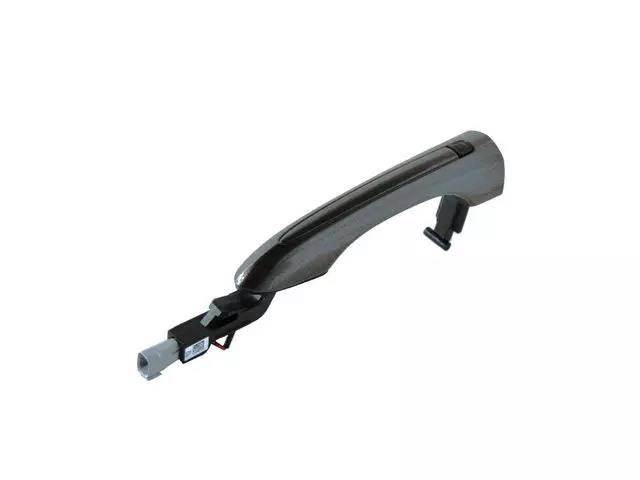 5RR19LAUAC - Body: Handle, Outside for Chrysler: Pacifica Image