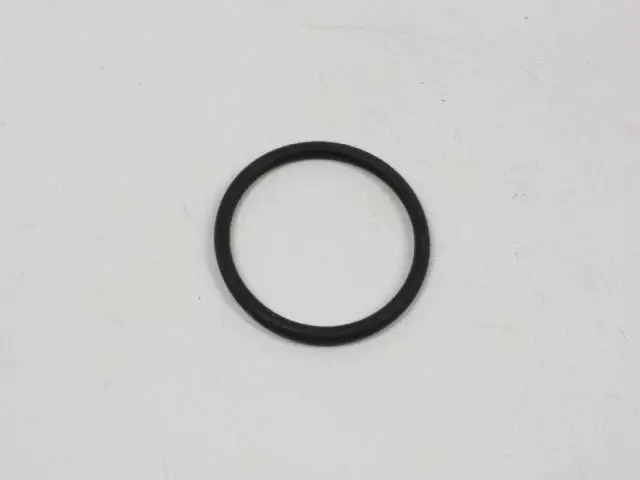 Srv/mtv Actuator O Ring - Mopar (68067768AA)