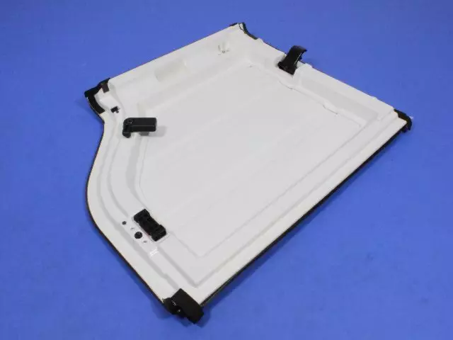 OEM NEW 2009-2010 Mopar Jeep Wrangler 3.8L Targa Top Panel Right 1MR06RXFAB - Mopar (1MR06RXFAB)