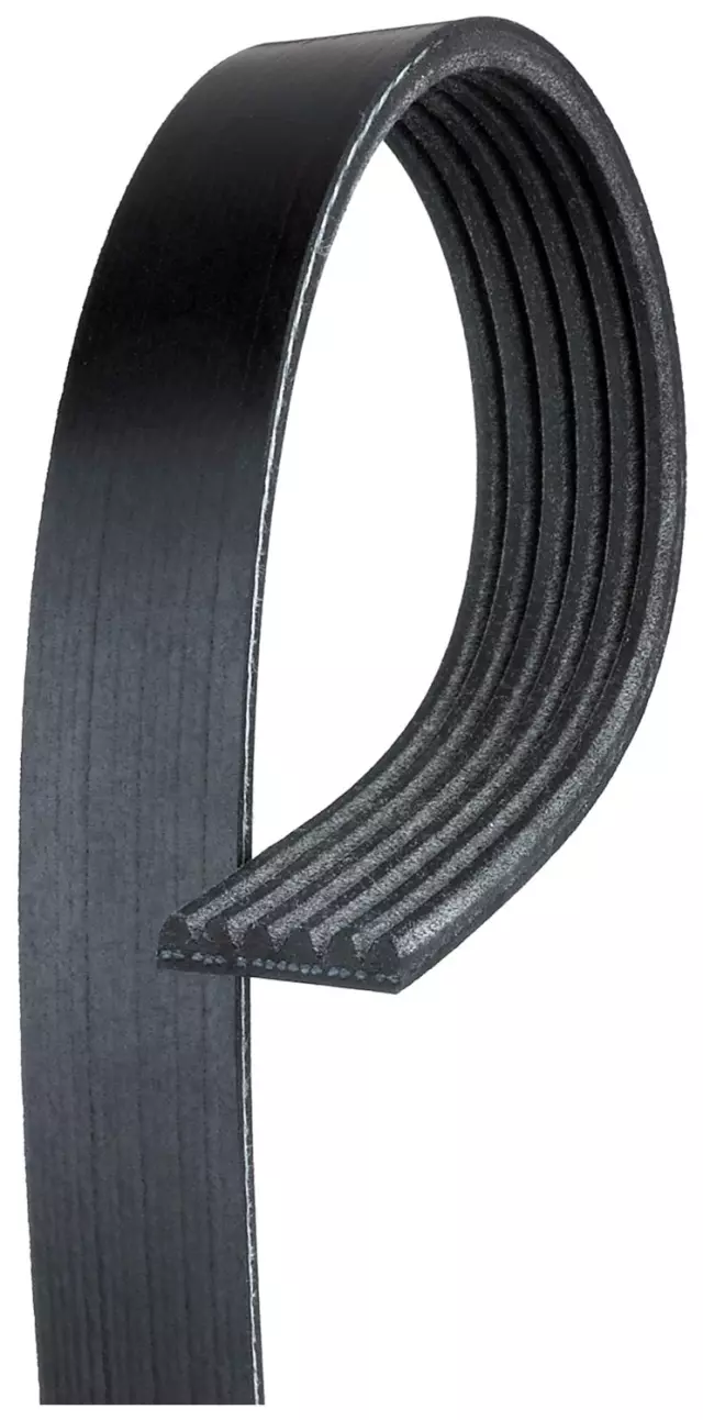 19355282 - : V-Ribbed Serpentine Belt for GM Image