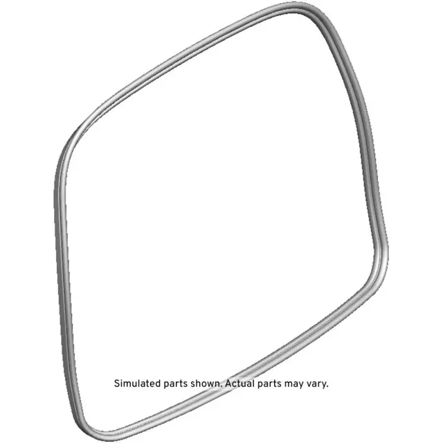 15862172 - Body: Weatherstrip for GM Image