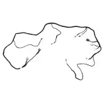 FL3Z14334BD - : Wiring Assembly for Ford Image