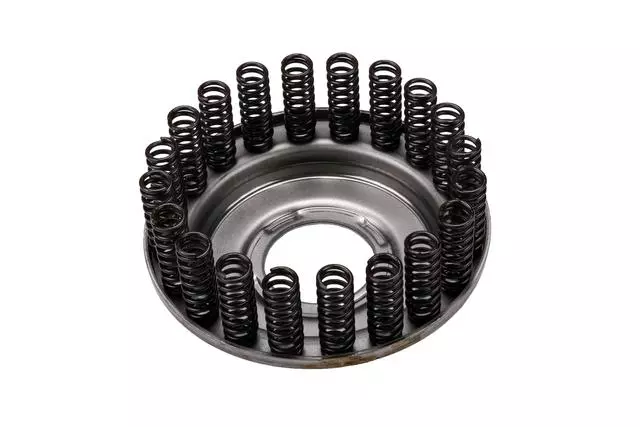 Automatic Transmission Direct Clutch Spring - GM (93741553)