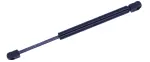 612398 - : Liftgate Lift Support for Tuff Support Image