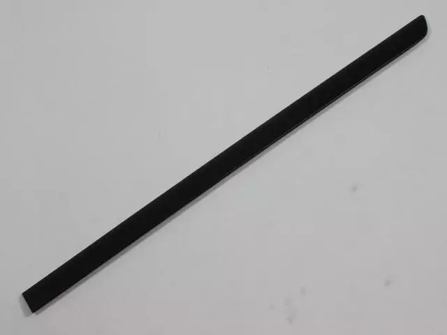 Molding - Mopar (1EX43TZZAB)