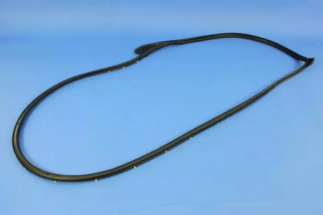 Front Door Opening Weatherstrip, Right - Mopar (55399212AE)