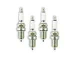 416S4 - : ACCEL HP Copper Spark Plug - Shorty for ACCEL Image