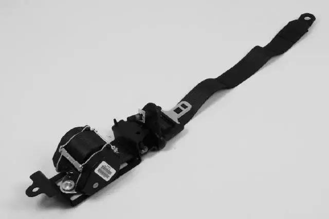 TS771D1AE - Electrical: Outer Belt for Chrysler: Pacifica Image