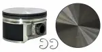 P3055650 - : Engine Piston Set for Enginetech Image