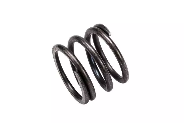 98018850 - : F Spring for GM Image