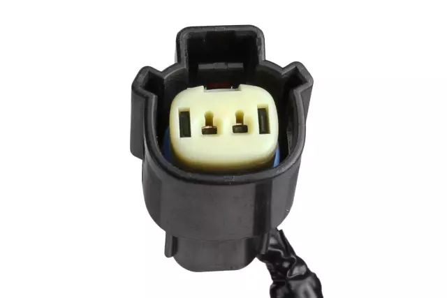 Back-up Lamp Wiring Harness - GM (23478892)