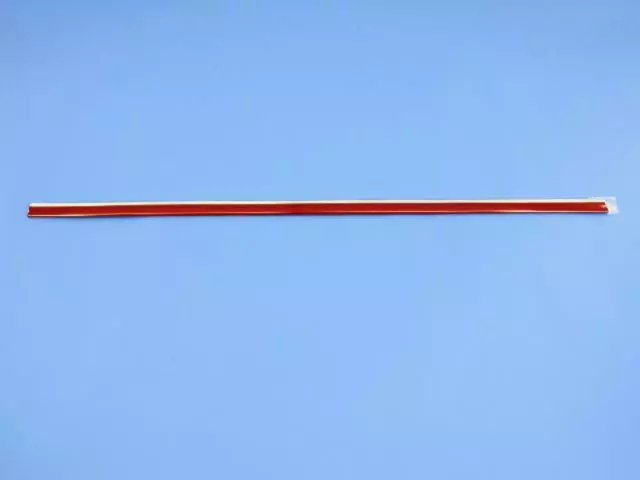 1DH74SW1AB - Exterior Ornamentation: Rear Door Molding, Right &amp; Left for Dodge: Caliber Image