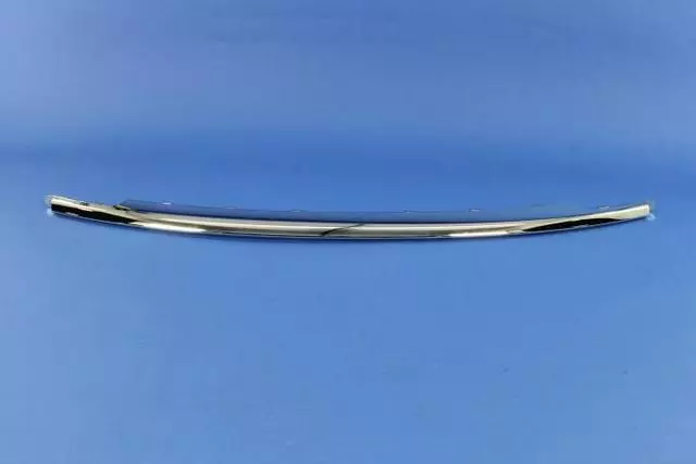 Fascia Molding, Center - Mopar (5113729AB)