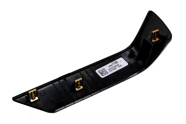 Trim Molding - GM (22837192)