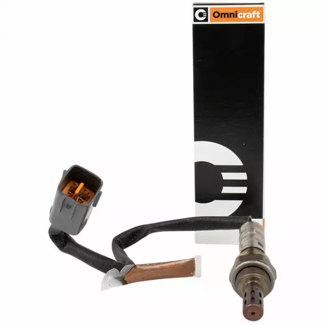 Sensor Hego - Ford (QDY-100)