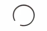 84479767 - : F (S)Ring for GM Image