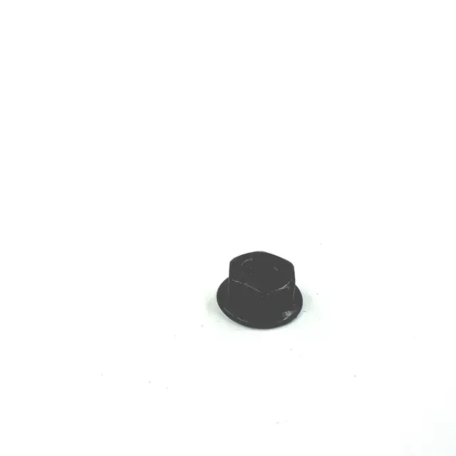 N02300311 - Body: Adjuster Nut for Volkswagen: Beetle, CC, Eos, Golf R, GTI, Passat, Tiguan, Tiguan Limited Image