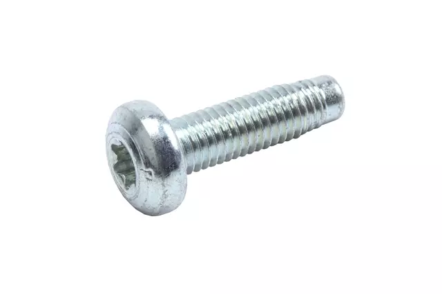 Bolt - GM (11609696)