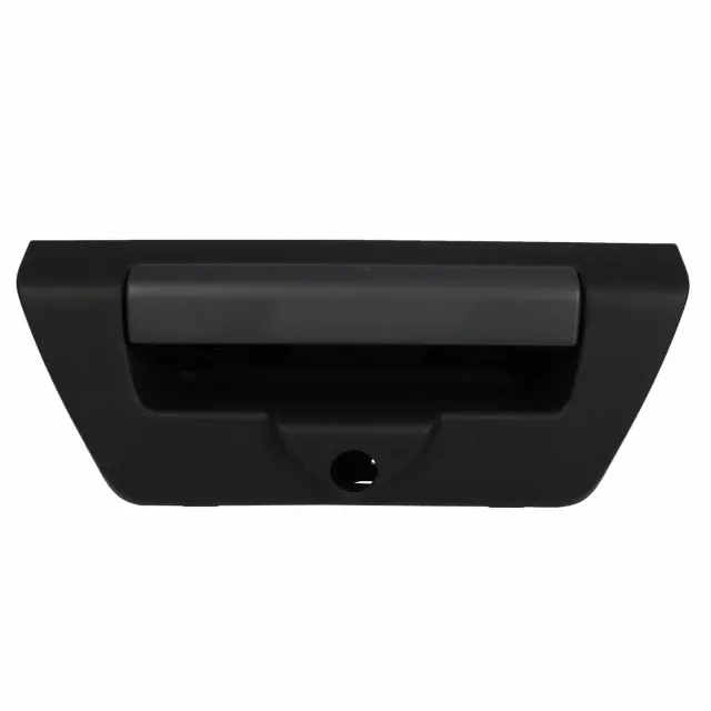 JL3Z9943400HBPTM - : Tailgate Handle for Ford Image