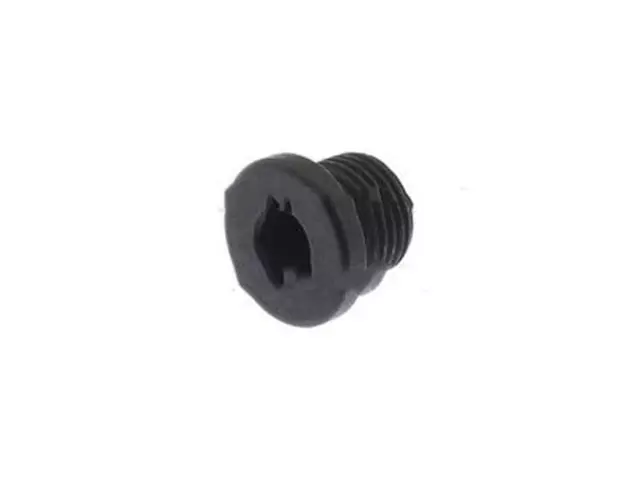 Plug - Ford (W701065-S303)