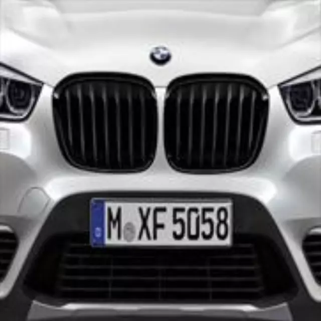 51712407733 - Exterior: 2016-2018 BMW X1 Performance Black Kidney Grille - Genuine OEM for BMW: X1 Image