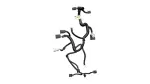 821910C150 - Body: Wire Harness for Toyota Image