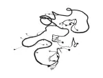 68629421AB - Electrical: Body Right Wiring for Mopar Image