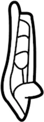 90916CL70C - Body: Handle Mask for Infiniti Image