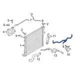 L1MZ8C289C - Cooling System: Engine Coolant Overflow Hose for Ford: Explorer, Police Interceptor Utility Image