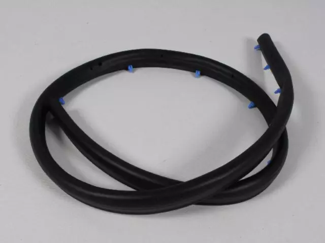 55394042AE - Doors and Related Parts: Front Door Seal, Right for Mopar Image