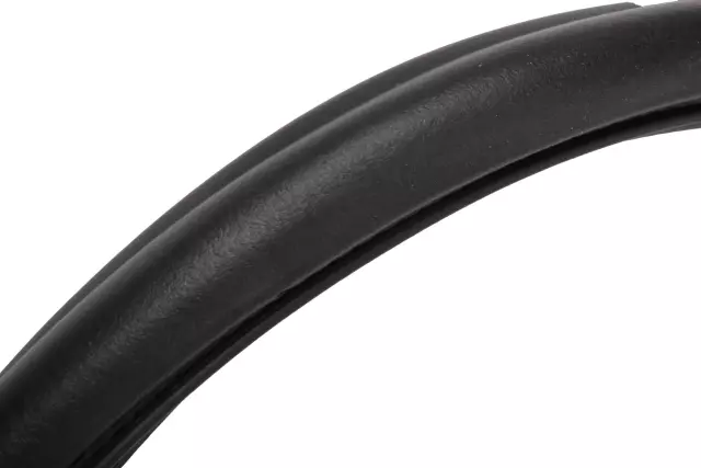 Weather-Strip On Body - GM (94550170)