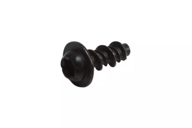 Sunroof Housing Drain Gutter Bolt - GM (15928188)