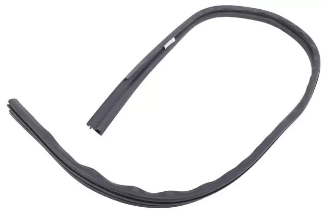 Drip Weather-Strip - GM (25904856)