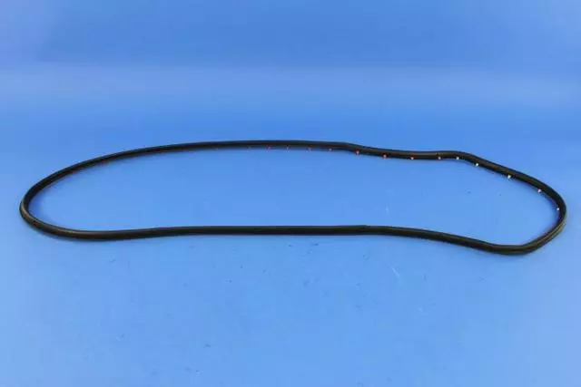 Rear Door Opening Weatherstrip, Left - Mopar (68144967AD)