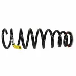 1W6Z5310AA - : Coil Spring for Ford: Thunderbird Image