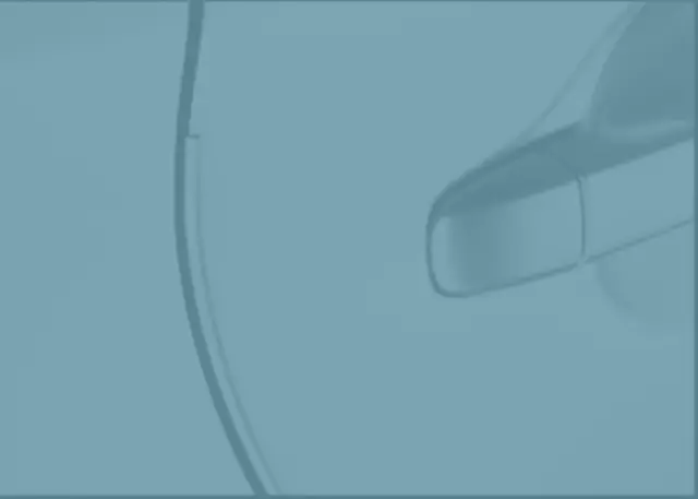 PT9365212007 - Exterior: Door Edge Guards, Summer Rain for Toyota: Prius C Image